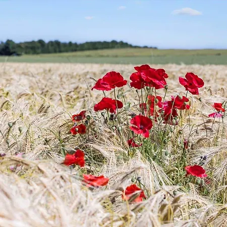 8530-grenaa-agnetevej-2 Tatil Evi *